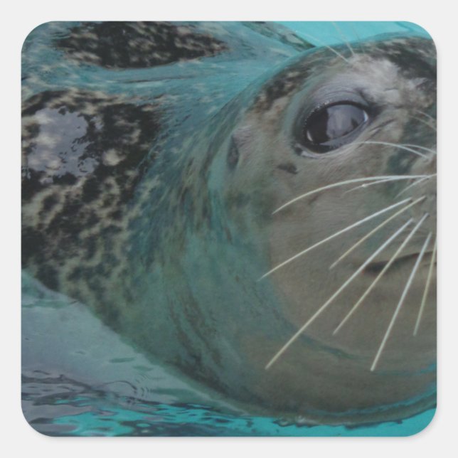 Adesivo Quadrado Selo Doce (Frente)