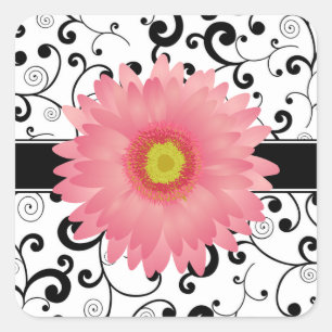 Adesivo Quadrado Selo rosa pálido do design do rolo do preto da