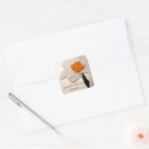 Adesivo Quadrado Selos brancos do envelope do casamento do Daffodil