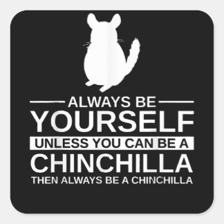 Adesivo Quadrado Sempre Seja Seu Chinchilla Presente Para Homens Mu