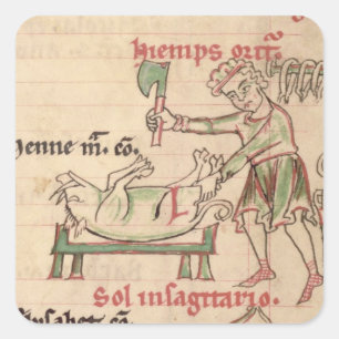 Adesivo Quadrado Senhora 54. f.6r novembro: Matando o porco, de um