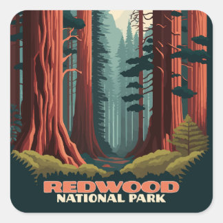 Adesivo Quadrado Sequoias National Park California Trees