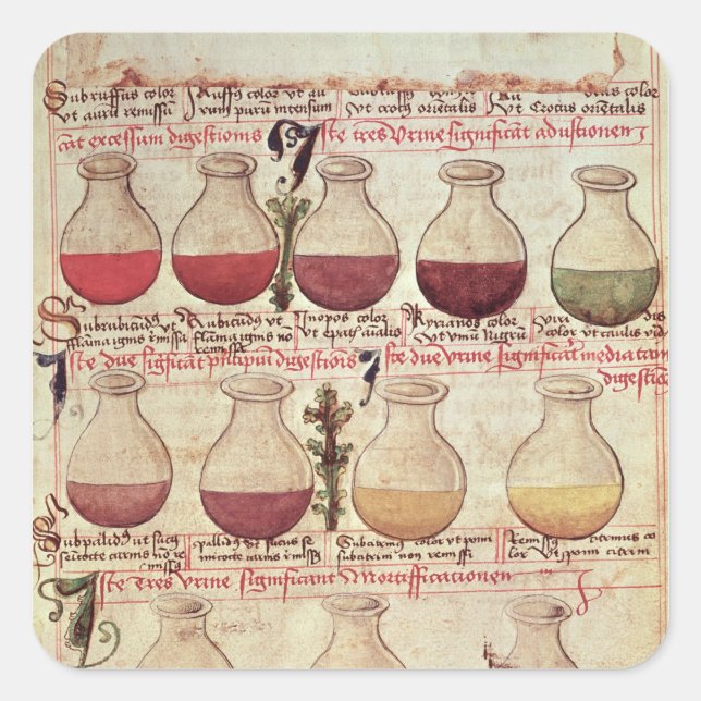 Adesivo Quadrado Série de sinais para análise urinária (Frente)