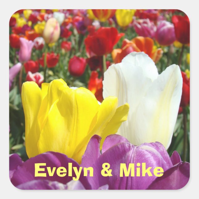 Adesivo Quadrado Seu nome, Tulip Flor Seu nome (Frente)