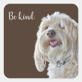 Adesivo Quadrado Shaggy Poodle com Cotação