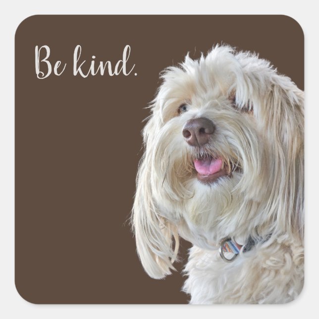 Adesivo Quadrado Shaggy Poodle com Cotação (Frente)