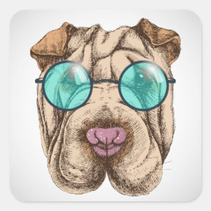 Adesivo Quadrado Sharpei Nos Óculos De Sol