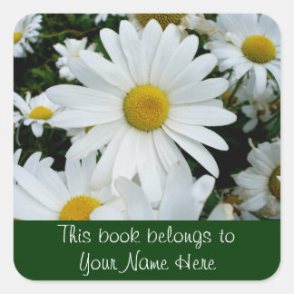 Adesivo Quadrado Shasta Daisies Foto