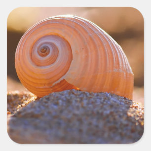 Adesivo Quadrado Shell Bokeh  Greece