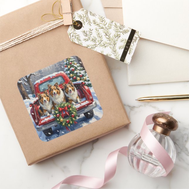Adesivo Quadrado Shetland Sheepdog Christmas Red Truck Holiday (Presentear)
