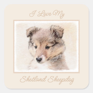 Adesivo Quadrado Shetland Sheepdog Puppy Pintura Original