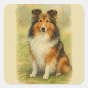 Adesivo Quadrado Shetland Sheepdog Sentado Aquarela