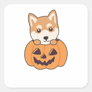 Adesivo Quadrado Shiba Inu Em Pumpkin Cães Doce Feliz Dia das Bruxa