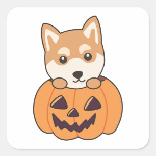 Adesivo Quadrado Shiba Inu Em Pumpkin Cães Doentes Feliz Dia das Br