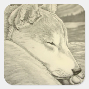 Adesivo Quadrado Shiba Inu Stickers Dog Shiba Inu Art Sticker