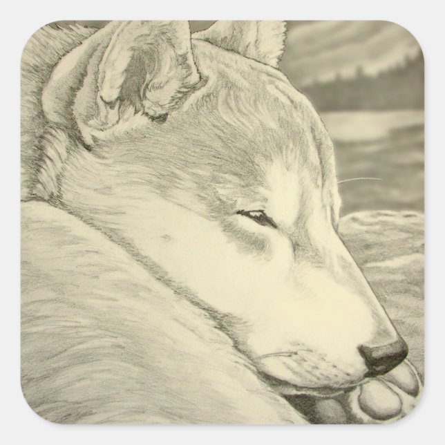 Adesivo Quadrado Shiba Inu Stickers Dog Shiba Inu Art Sticker (Frente)