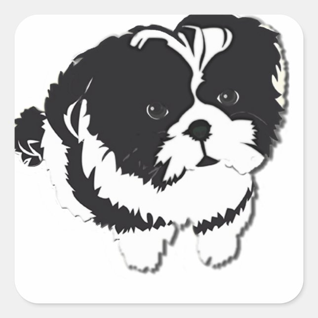 Adesivo Quadrado Shih Tzu Black White Dog Pet (Frente)
