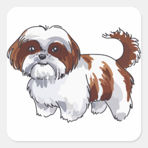 Adesivo Quadrado Shih Tzu Dog