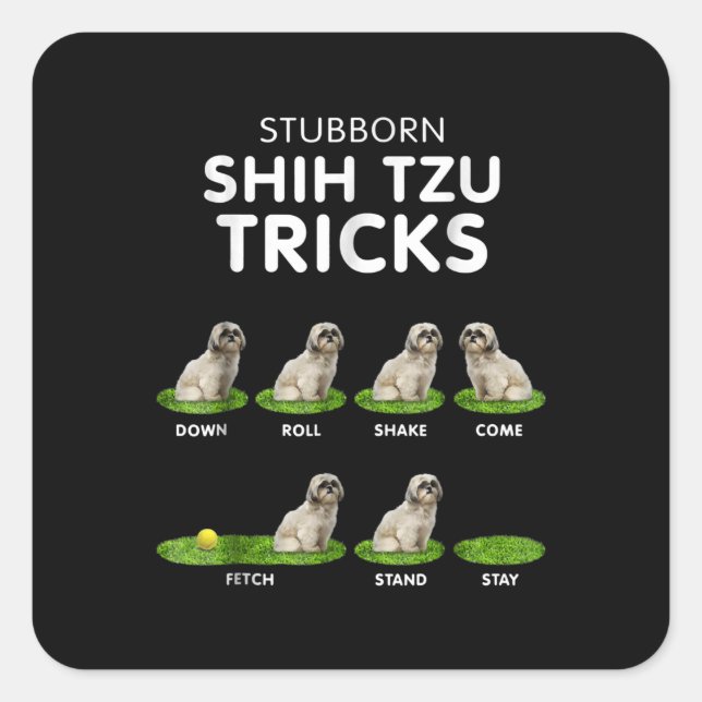 Adesivo Quadrado Shih Tzu Lover | Engraçado Shih Tzu Trick Amor (Frente)