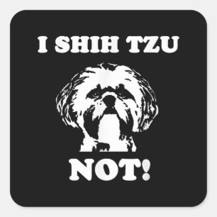 Adesivo Quadrado Shih Tzu Lover   I Shih Tzu Not Funny Dog