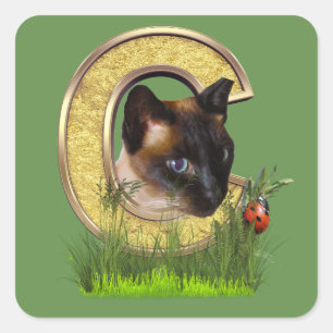 Adesivo Quadrado Siamese-Capital-Monograma - letra C