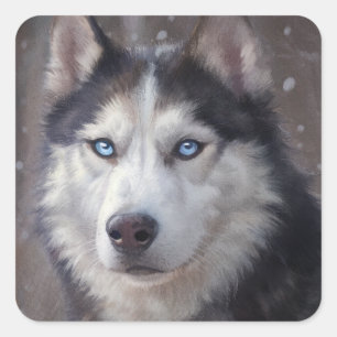 Adesivo Quadrado Siberian Husky Snow