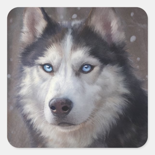 Adesivo Quadrado Siberian Husky Snow (Frente)