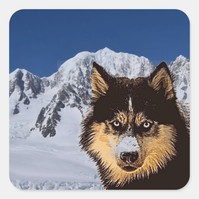 Adesivo Quadrado Siberian Husky Sticker (Frente)