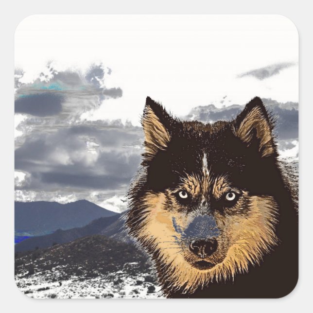 Adesivo Quadrado Siberian Husky Sticker (Frente)