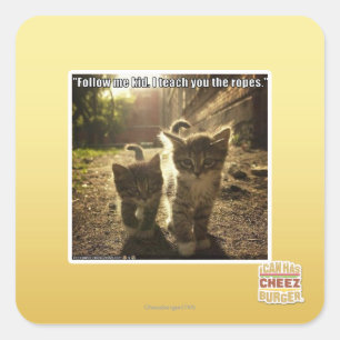 Adesivo Quadrado Siga-me Kid