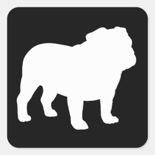 Adesivo Quadrado Silhueta de Bulldog Inglês Branco