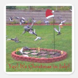 Adesivo Quadrado Sim! É Natal em julho, aves no alimentador