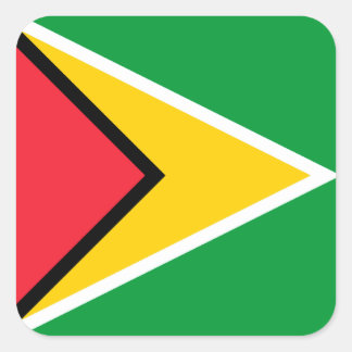 Adesivo Quadrado Sinalizador da Guiana