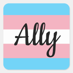Adesivo Quadrado Sinalizador Trans Ally