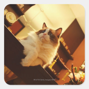 Adesivo Quadrado Singapura 6