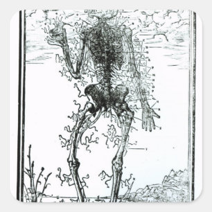 Adesivo Quadrado Sistema vascular do corpo