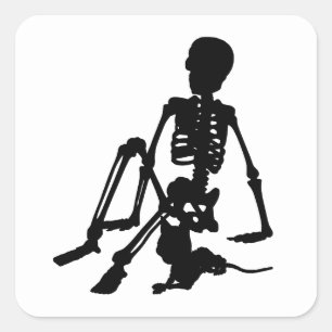 Adesivo Quadrado Skeleton Boy e sua arte de bicho de estimação