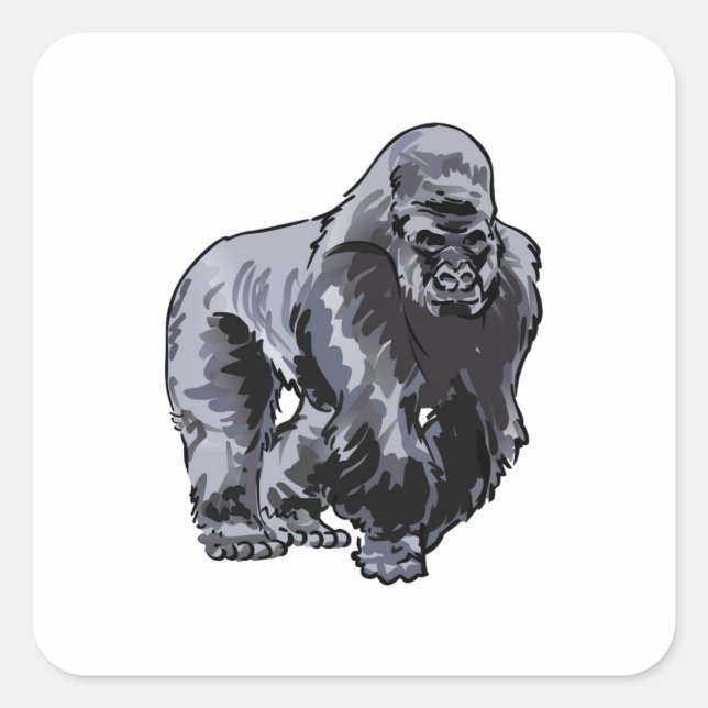 ADESIVO QUADRADO SMALLER SILVERBACK GORILLA (Frente)
