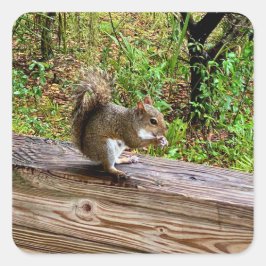 Adesivo Quadrado Snack Attack