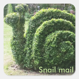 Adesivo Quadrado Snail mail. Arbusto verde grampeado jardim do