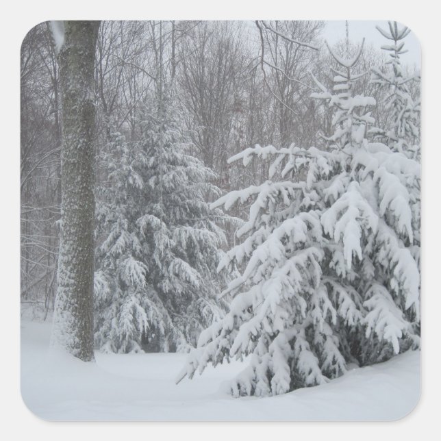 Adesivo Quadrado Snow In New England Sticker (Frente)