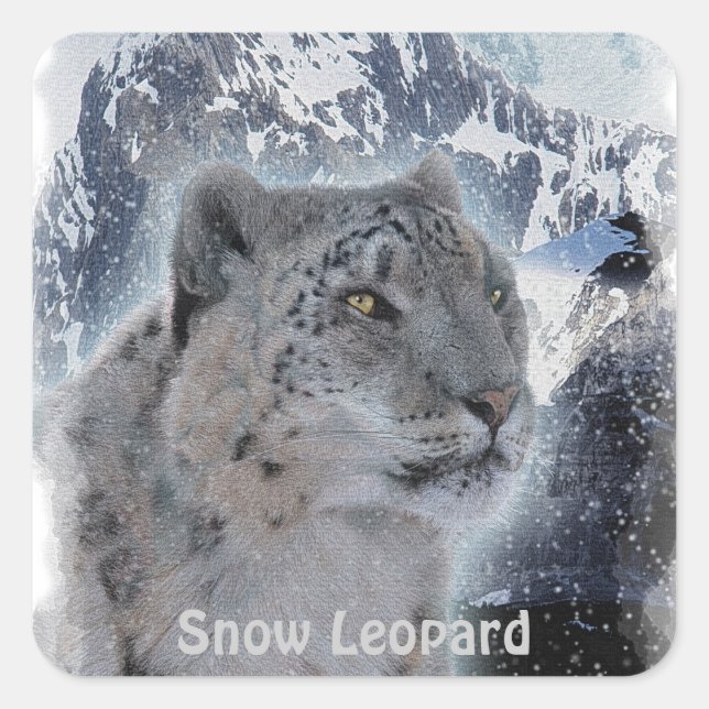 Adesivo Quadrado SNOW LEOPARD Espécies Ameaçadas de Gato Grande (Frente)
