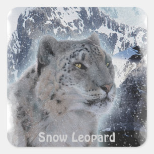 Adesivo Quadrado SNOW LEOPARD Espécies Ameaçadas de Gato Grande