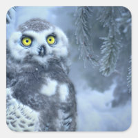Snowy Owl no inverno