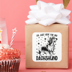 Adesivo Quadrado Só estou aqui para o meu cachorro de Dachshund Eng