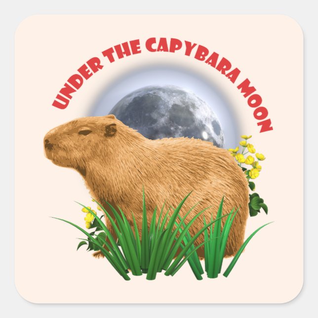 Adesivo Quadrado Sob a Lua do Capivara Animal Fofo (Frente)