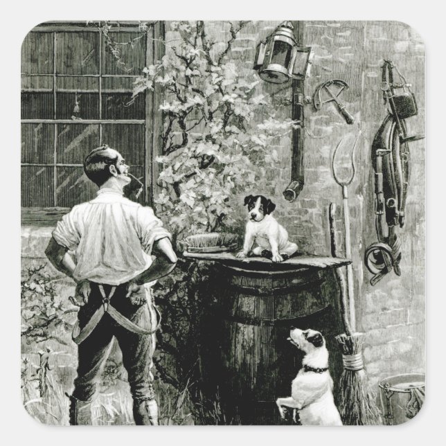 Adesivo Quadrado Sobrevivência do Fittest (Frente)