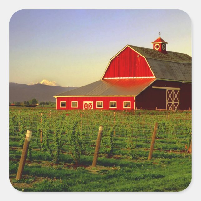 Adesivo Quadrado Sol noturno num celeiro em Washington Skagit (Frente)