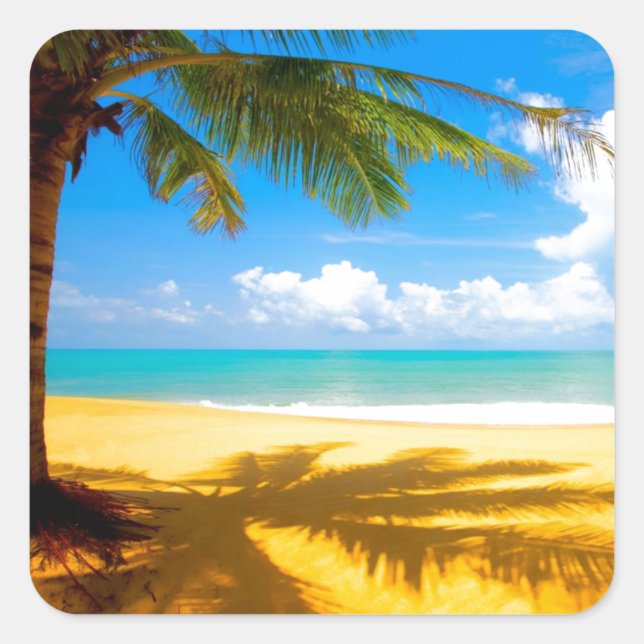 Adesivo Quadrado Sombras da Árvore Palm (Frente)