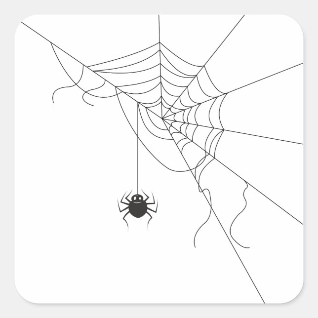 Adesivo Quadrado spider web (Frente)